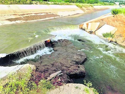 మానవ