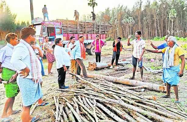 కృష్ణ