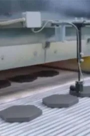 Viral Video: What Elon Musk Cooks In His Bakery5