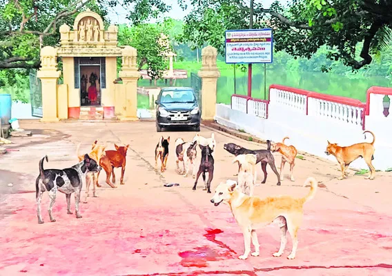 క్షేత