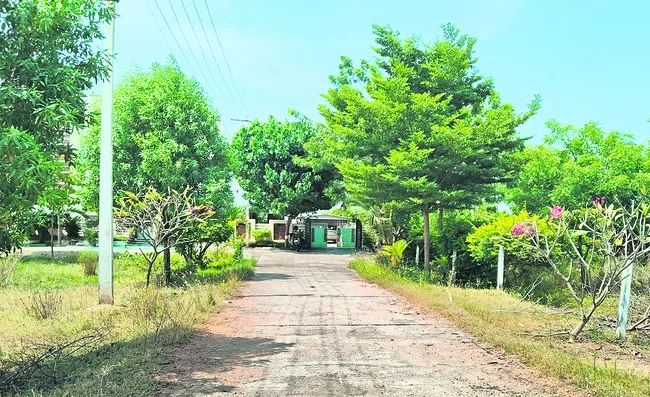 అడ్డగోలుగా.. అడ్డుగోడలు