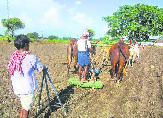 యాసంగిపై ఆశలు!