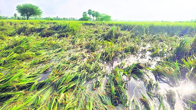 లక్ష్మీనగర్లో చోరీ