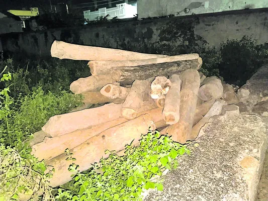 కలప పట్టివేత