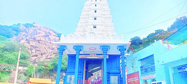 కురుమూర్తి ఉత్సవాలకు ఏర్పాట్లు 
