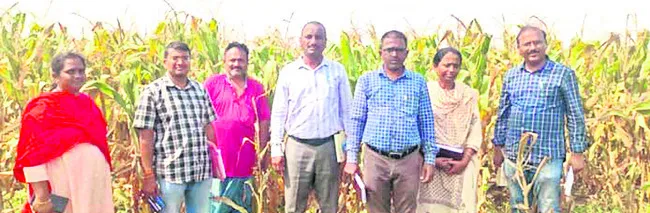 పంటలు పరిశీలించిన శాస్త్రవేత్తలు