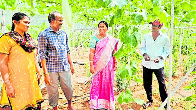 పలు పంటల సాగుతో రైతు పదిలం