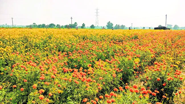రైతుల