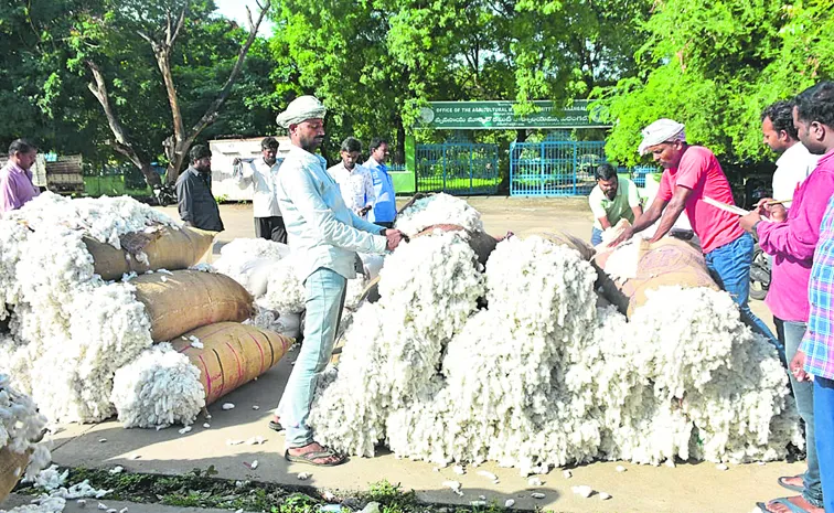 పత్తి కొనుగోలు మరింత లేటు!