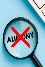 Financially independent spouse not entitled to alimony says Delhi Court6