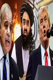 Pakistan-Afghanistan conflict would be easy for him to solve6