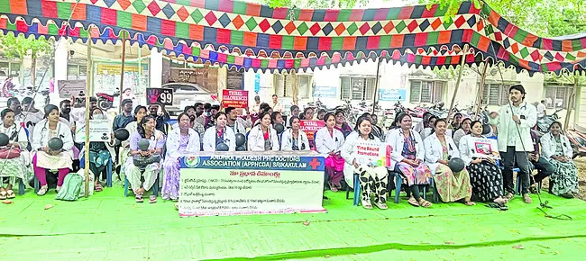 డిమాం