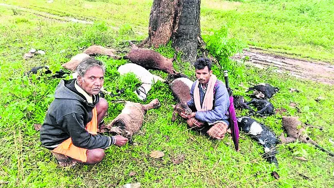 పిడుగుపాటుకు పశువులు, మేకలు మృతి