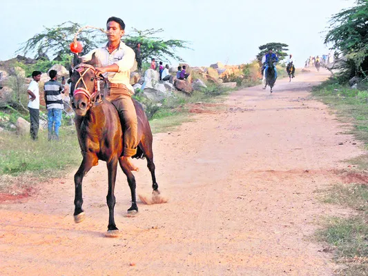 నేడు అశ్వాల పారువేట 