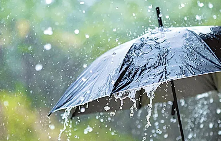 Heavy rains likely in some places in North Andhra in the next two days