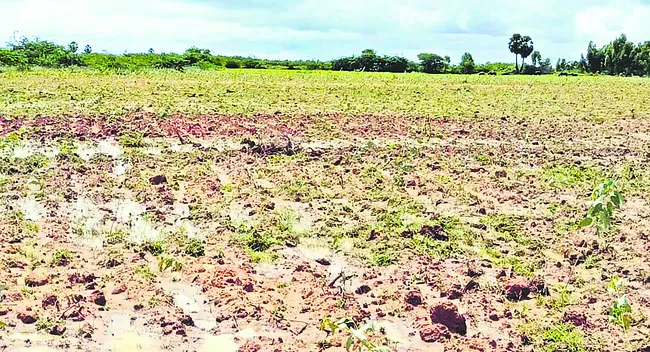 చెరబట