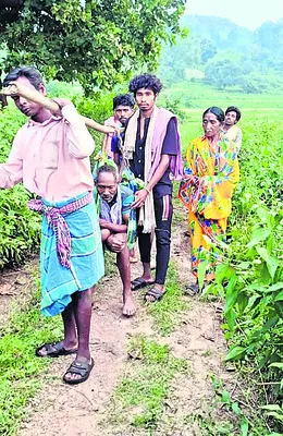 తప్పని డోలీ మోత