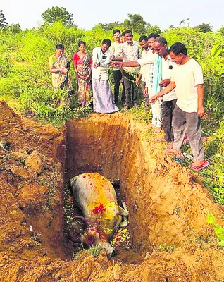 యూనివర్సిటీ ఫుట్‌బాల్‌ పోటీలకు సోమగూడెం యువకుడు