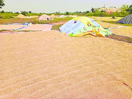 కొనుగోళ్ల జాడేది?