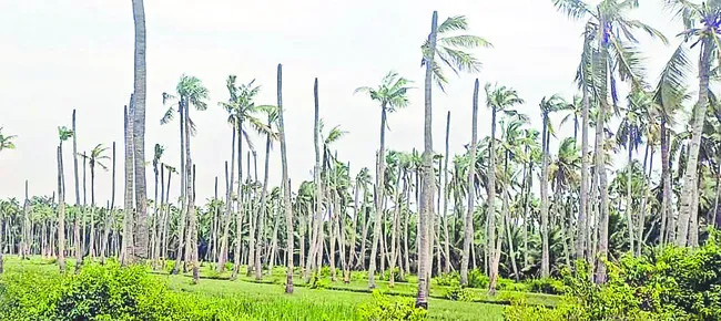 ముంపే