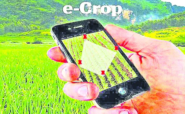 నత్త నడకన ఈ–క్రాప్