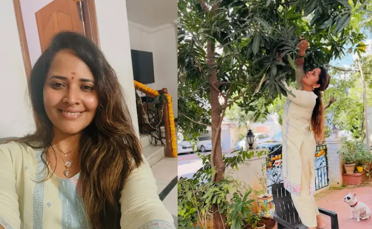 దీపావళి పండుగ..  ఆ స్థానమేంటో ఇప్పుడు అర్థమైంది.. అనసూయ పోస్ట్ వైరల్  