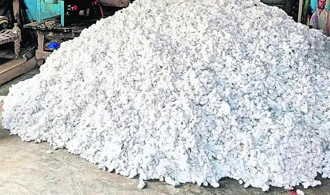 సీసీఐ పత్తి కొనుగోళ్లకు గ్రీన్‌ సిగ్నల్‌