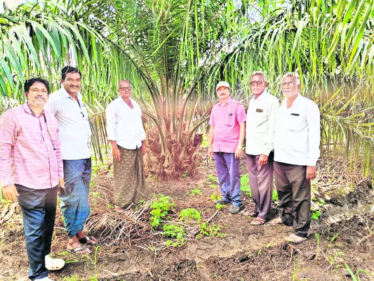 యాజమాన్య పద్ధతులు పాటించాలి