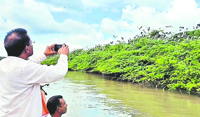 ఫారెస్ట్ రిజర్వ్గా మధ్యలంక