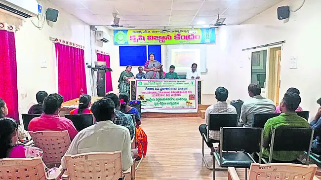 తేనెటీగల పెంపకంతో ఉపాధి