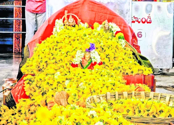 పట్టి