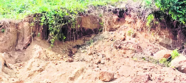 కుడి కాలువ గట్టుకు తూట్లు 