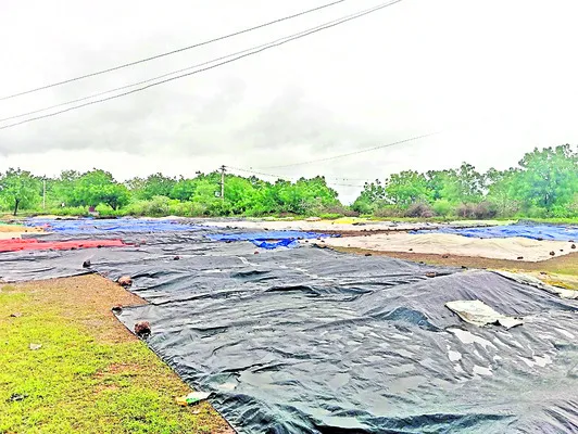 వర్షప