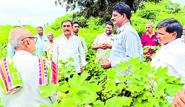 పంటలు నమోదు చేయించుకుంటేనే పరిహారం 