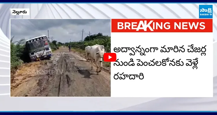 AP: రోడ్డు పక్కన ఇరుక్కుపోయిన ఆర్టీసీ బస్సు