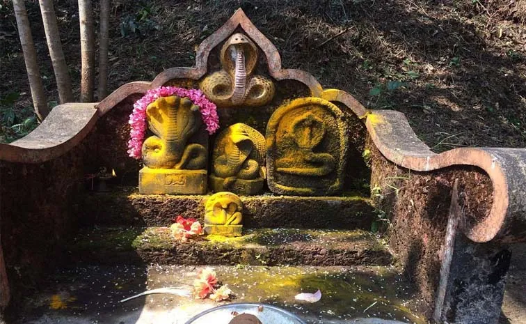 సర్వదోషాల నివారణకు నాగుల చవితి పూజ