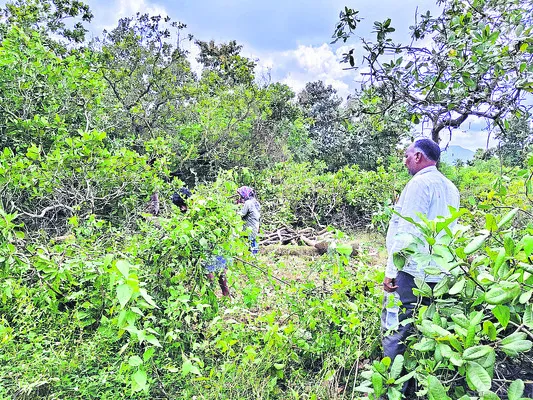 బీజేపీ ఎమ్మెల్యేతో నాకు ప్రాణహాని 