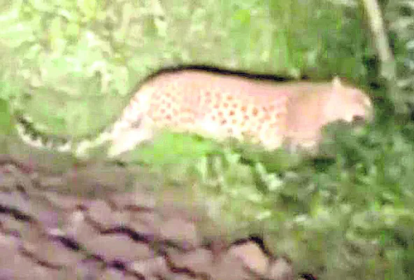 ఆదర్శ విద్యార్థుల ప్రతిభ
