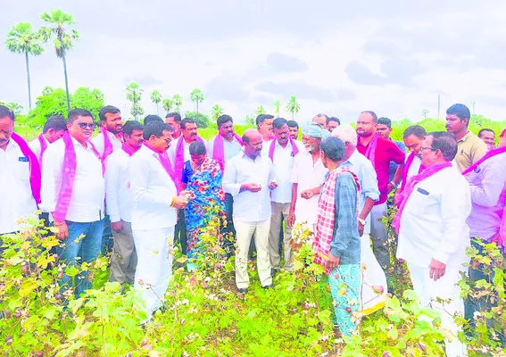 పాలకుల నిర్లక్ష్యం.. రైతులకు శాపం