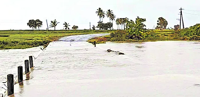 జనజీవ