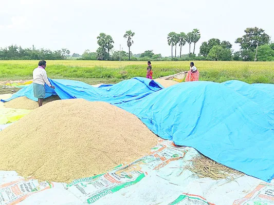పరిహా