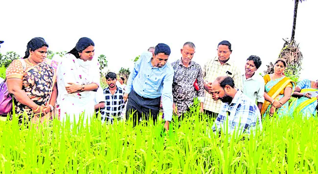 గురుకులాల్లో ప్రకృతి సాగుకు ప్రోత్సాహం