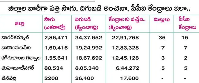 పత్తి