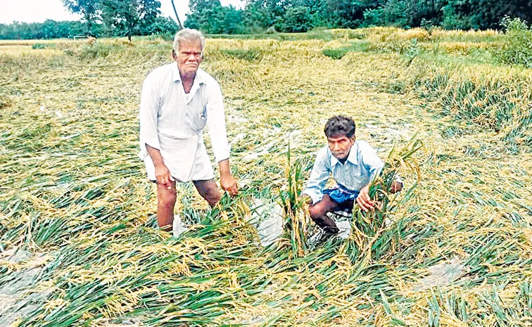 ‘పొట్ట’ కొడుతున్న వానలు