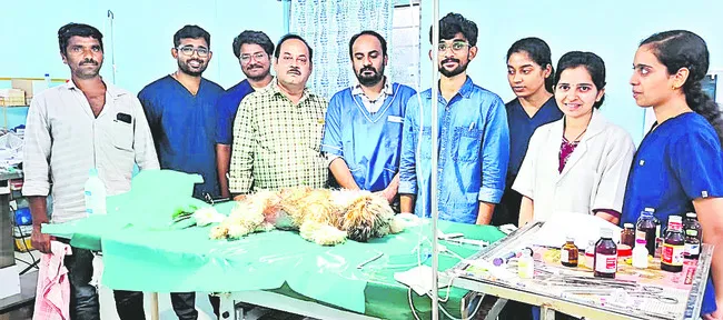 కుక్కపిల్లకు గండం గడిచింది