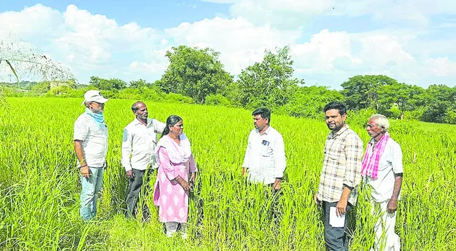 లఘు,