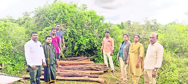 ఎర్రచందనం పట్టివేత