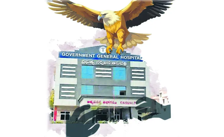 Government leaders turned the health department into a source of income