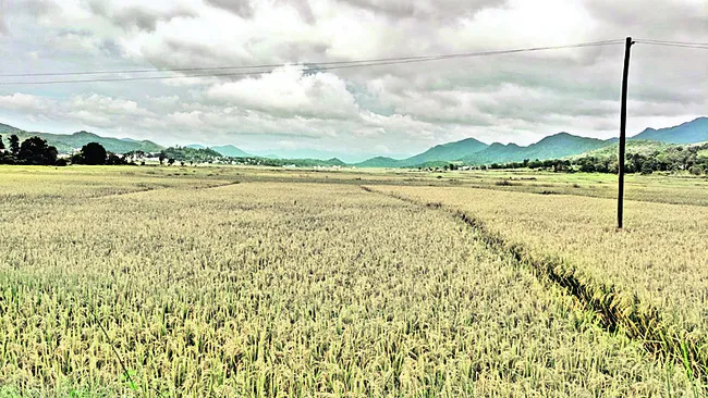 గిరి