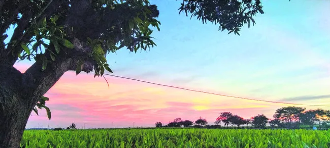 రమణీయ ప్రకృతి